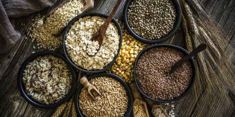 Fibra alimentaria