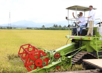 Presidente Abinader y el Gabinete Agropecuario celebrarán Día Nacional del Agricultor en Moca