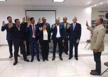 Nueva presidenta de SINEDOM dice estructurará tarifas de los ingenieros en la RD