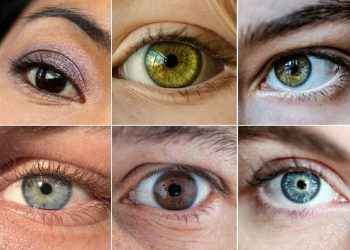 Ojos azules, verdes o marrones: ¿de qué depende el color?