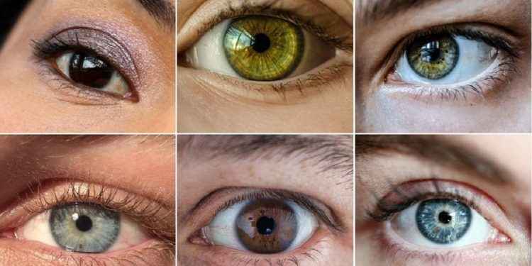 Ojos azules, verdes o marrones: ¿de qué depende el color?