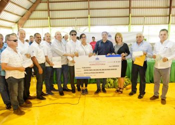 Gobierno inicia entrega de RD$450 millones a arroceros de Línea Noroeste