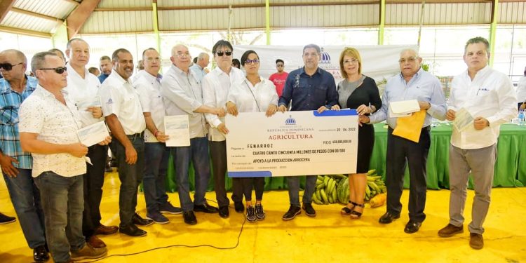 Gobierno inicia entrega de RD$450 millones a arroceros de Línea Noroeste