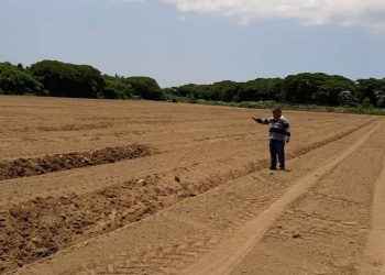 Aumentarán producción agrícola del proyecto La Cruz de Manzanillo