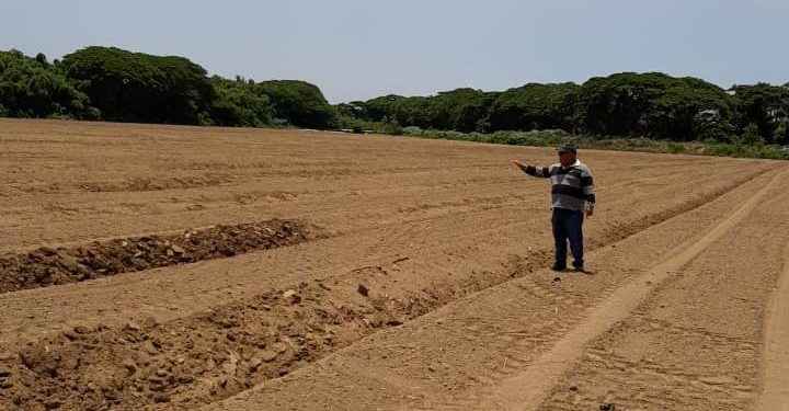 Aumentarán producción agrícola del proyecto La Cruz de Manzanillo