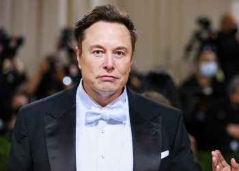 Elon Musk niega una aventura amorosa con la esposa de cofundador de Google