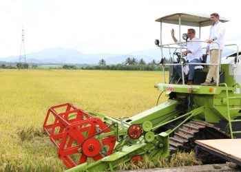 Apoyo del Gobierno a sector agropecuario contribuyó a disminuir niveles de hambre, según FAO