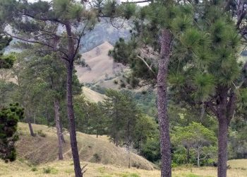 Empresarios apoyan reapertura del ministro de Medio Ambiente