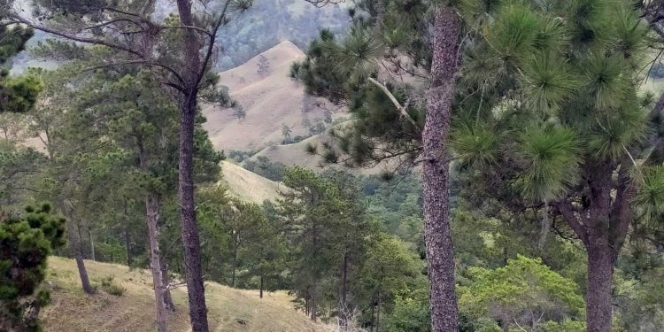Empresarios apoyan reapertura del ministro de Medio Ambiente