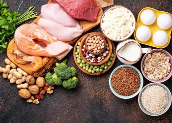 Diferencias entre proteínas de origen animal y vegetal