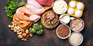 Diferencias entre proteínas de origen animal y vegetal