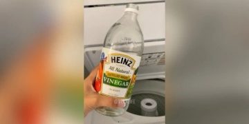 El truco para que la lavadora quede reluciente