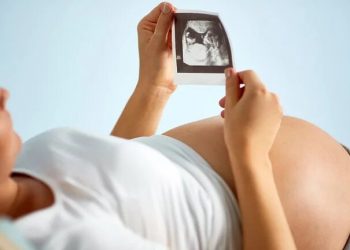El debate científico por el impacto del COVID-19 en la vida intrauterina