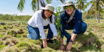 ETED desarrolla jornada de reforestación, fomenta recuperación de manglares y ecosistemas  