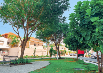 Alcaldía DN remodela parques de Bella Vista