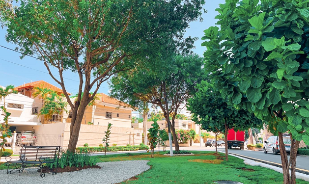 Alcaldía DN remodela parques de Bella Vista