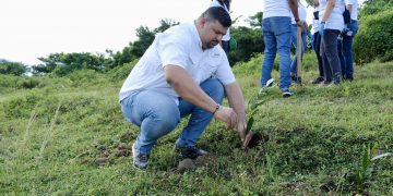Refidomsa realiza jornada de reforestación