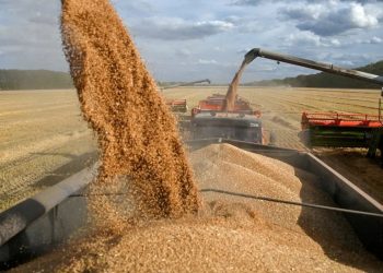Rusia suspende su participación en el acuerdo de exportación de granos ucranianos tras los ataques contra sus buques