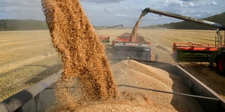 Rusia suspende su participación en el acuerdo de exportación de granos ucranianos tras los ataques contra sus buques