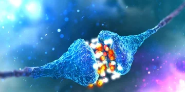 Tratamiento del dolor: así es la analgesia natural del cuerpo