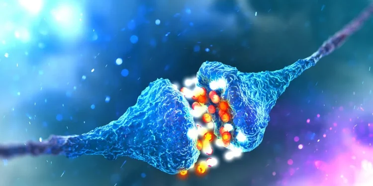 Tratamiento del dolor: así es la analgesia natural del cuerpo