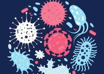 Gripe aviar y otras amenazas de origen animal: ¿debemos preocuparnos?