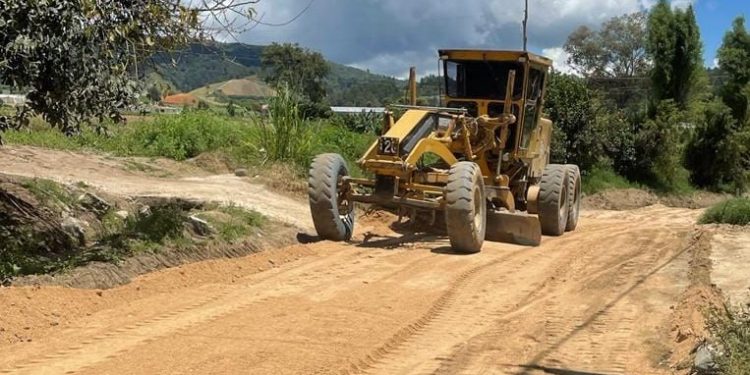 Productores de Constanza agradecen al gobierno reparación de 40.5 Km de caminos inter parcelarios