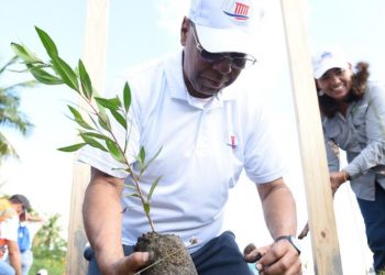 TC siembra miles de plantas en reserva ecológica en San Cristóbal