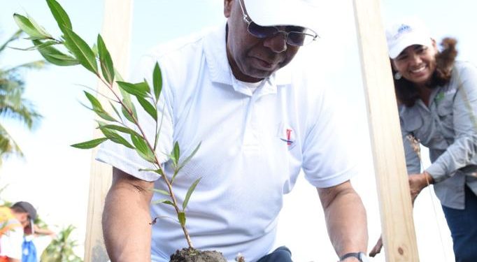 TC siembra miles de plantas en reserva ecológica en San Cristóbal