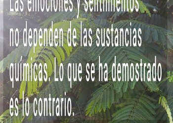 ¿Es el amor una atracción química?
