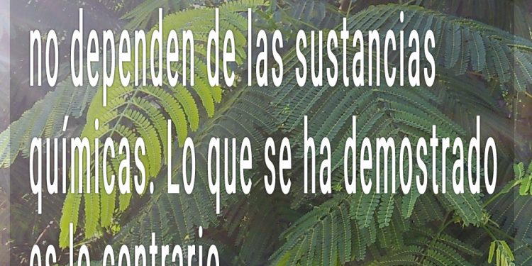¿Es el amor una atracción química?