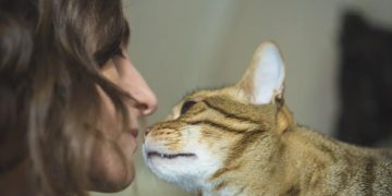 Tu gato te ama, solo tienes que entenderlo