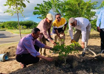 Tres guayacanes por la memoria de Felo Espinal