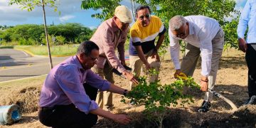 Tres guayacanes por la memoria de Felo Espinal