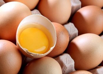 ¿Es saludable cenar 6 huevos como Luis Enrique?