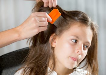 Qué hacer cuando los niños traen piojos de la escuela