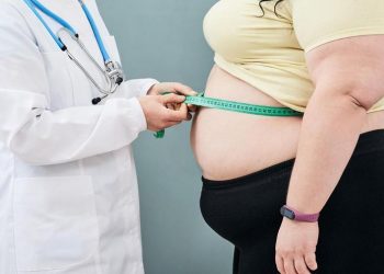 Activar la grasa parda, la nueva clave para tratar la obesidad