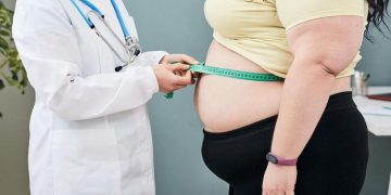 Activar la grasa parda, la nueva clave para tratar la obesidad
