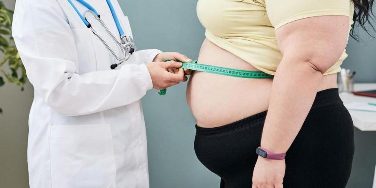 Activar la grasa parda, la nueva clave para tratar la obesidad