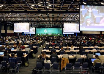 Décimo quinta Conferencia de las Partes del Convenio de Naciones Unidas sobre Diversidad Biológica