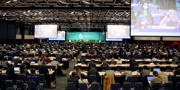Décimo quinta Conferencia de las Partes del Convenio de Naciones Unidas sobre Diversidad Biológica