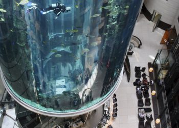 Explota un colosal acuario cilíndrico con 1.500 peces exóticos dentro