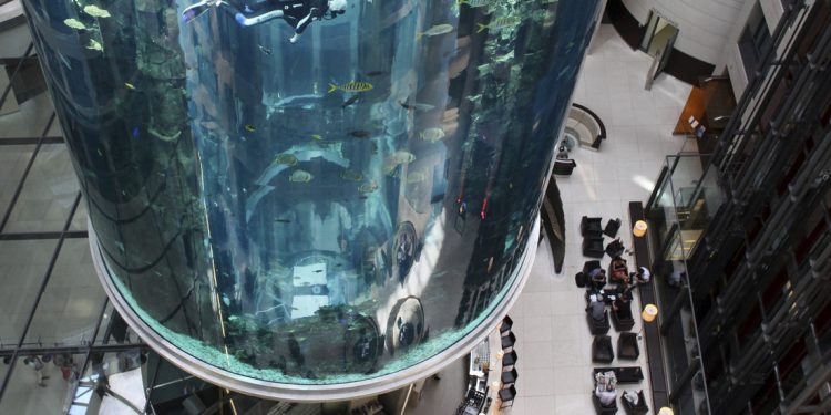 Explota un colosal acuario cilíndrico con 1.500 peces exóticos dentro