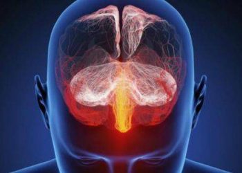 Estos son los efectos de la pornografía en el cerebro