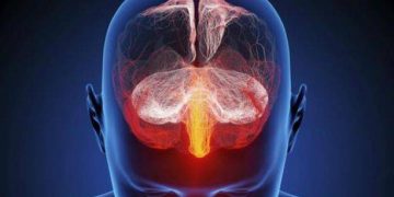 Estos son los efectos de la pornografía en el cerebro