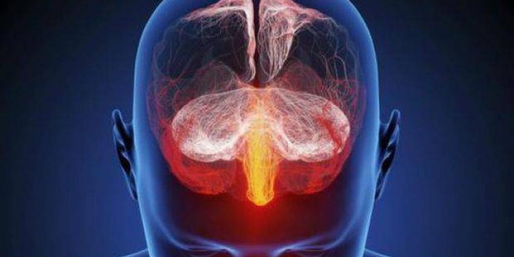 Estos son los efectos de la pornografía en el cerebro