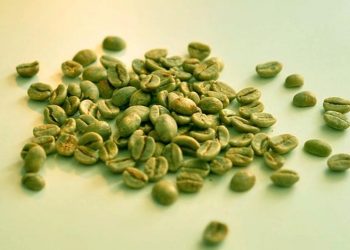 ¿El café verde ayuda a perder peso?