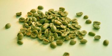¿El café verde ayuda a perder peso?