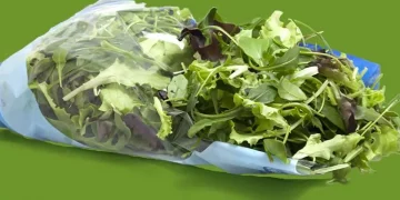 Ensaladas de bolsa: riesgos y consejos para evitar intoxicaciones
