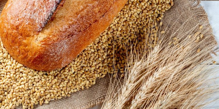 Gobierno suspende temporalmente exportación de harina para garantizar soberanía alimentaria